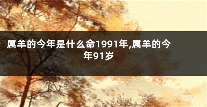 属羊的今年是什么命1991年,属羊的今年91岁