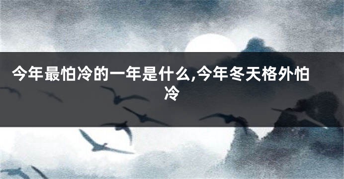 今年最怕冷的一年是什么,今年冬天格外怕冷