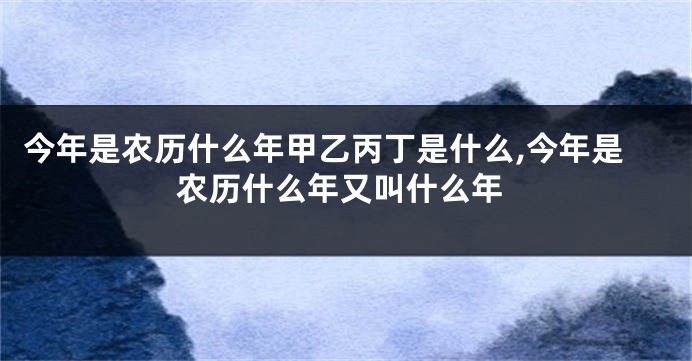 今年是农历什么年甲乙丙丁是什么,今年是农历什么年又叫什么年
