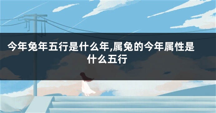 今年兔年五行是什么年,属兔的今年属性是什么五行