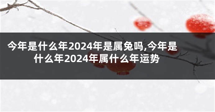 今年是什么年2024年是属兔吗,今年是什么年2024年属什么年运势