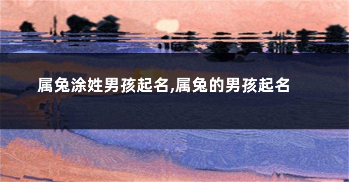 属兔涂姓男孩起名,属兔的男孩起名