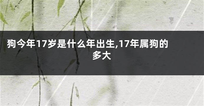 狗今年17岁是什么年出生,17年属狗的多大