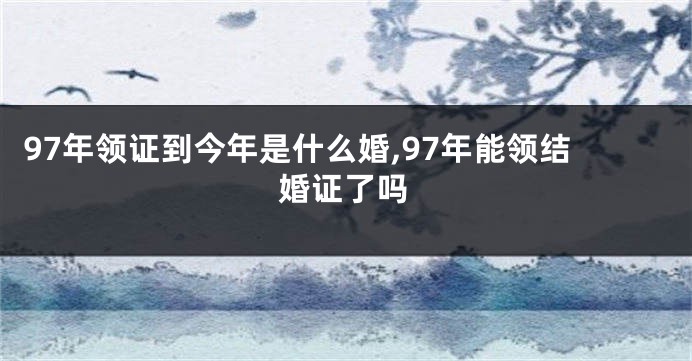 97年领证到今年是什么婚,97年能领结婚证了吗
