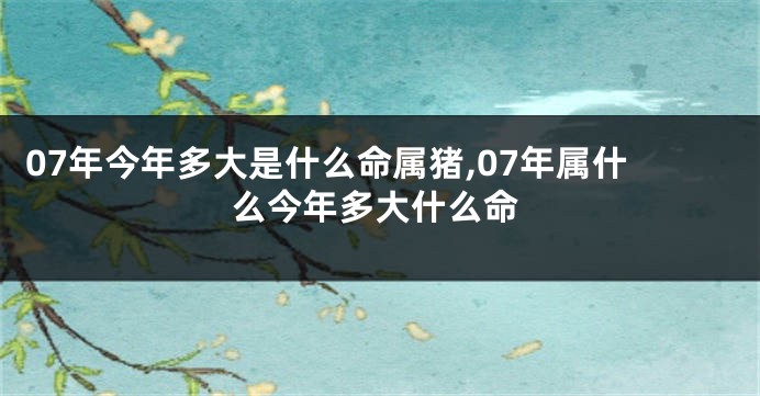 07年今年多大是什么命属猪,07年属什么今年多大什么命