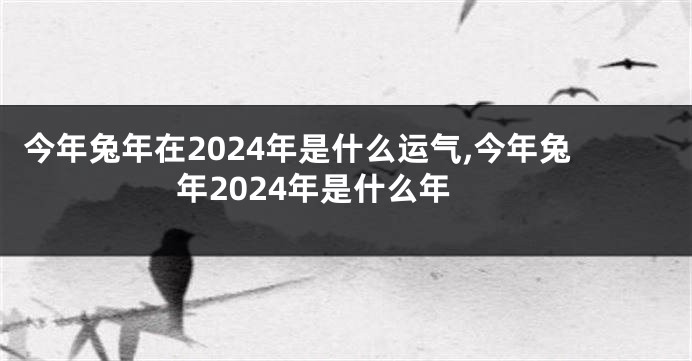 今年兔年在2024年是什么运气,今年兔年2024年是什么年