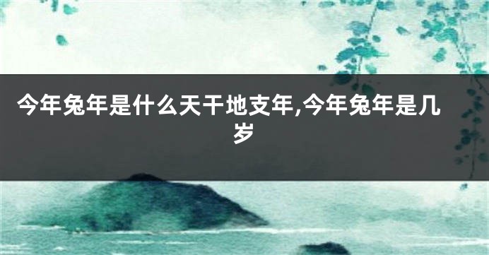 今年兔年是什么天干地支年,今年兔年是几岁