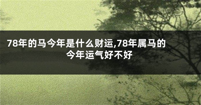78年的马今年是什么财运,78年属马的今年运气好不好