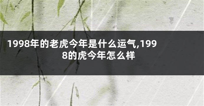 1998年的老虎今年是什么运气,1998的虎今年怎么样