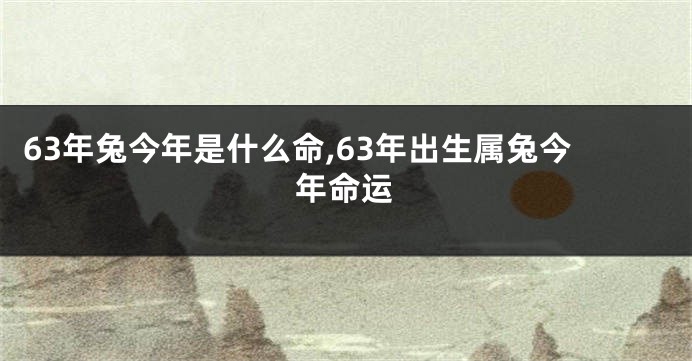 63年兔今年是什么命,63年出生属兔今年命运