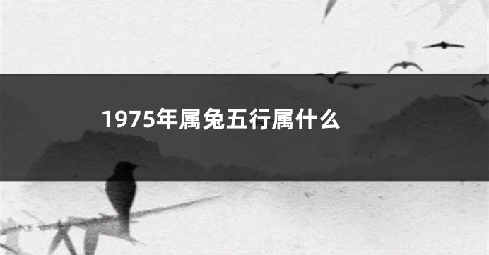 1975年属兔五行属什么