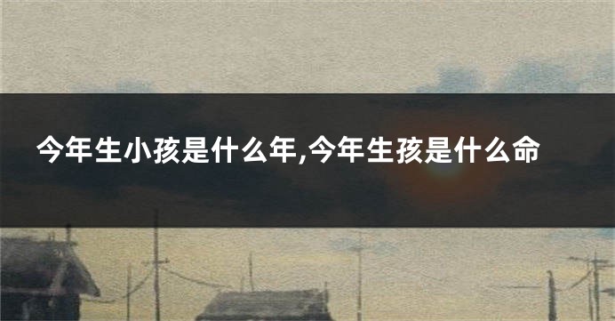 今年生小孩是什么年,今年生孩是什么命