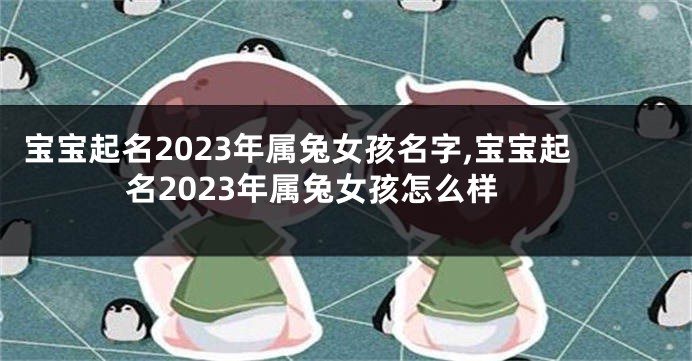 宝宝起名2023年属兔女孩名字,宝宝起名2023年属兔女孩怎么样