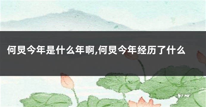 何炅今年是什么年啊,何炅今年经历了什么
