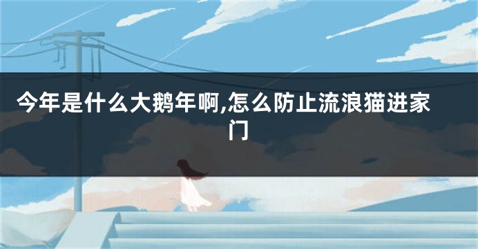 今年是什么大鹅年啊,怎么防止流浪猫进家门