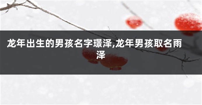 龙年出生的男孩名字璟泽,龙年男孩取名雨泽