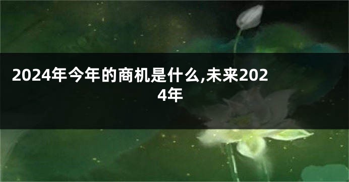 2024年今年的商机是什么,未来2024年
