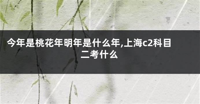 今年是桃花年明年是什么年,上海c2科目二考什么
