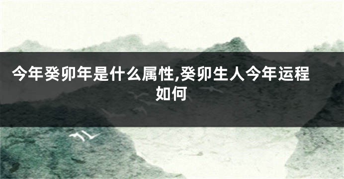 今年癸卯年是什么属性,癸卯生人今年运程如何
