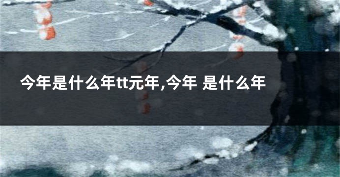 今年是什么年tt元年,今年 是什么年