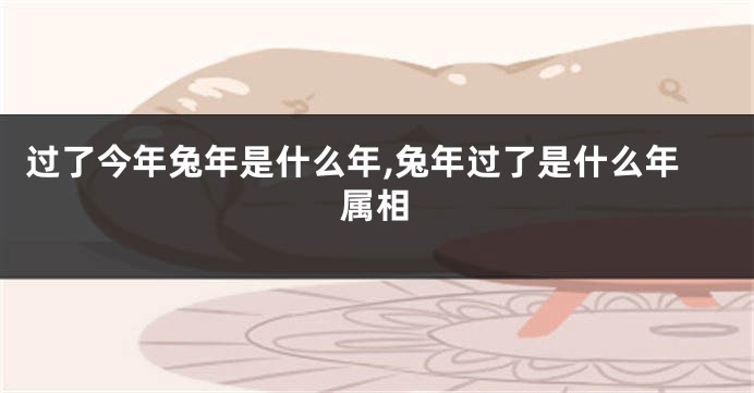 过了今年兔年是什么年,兔年过了是什么年属相