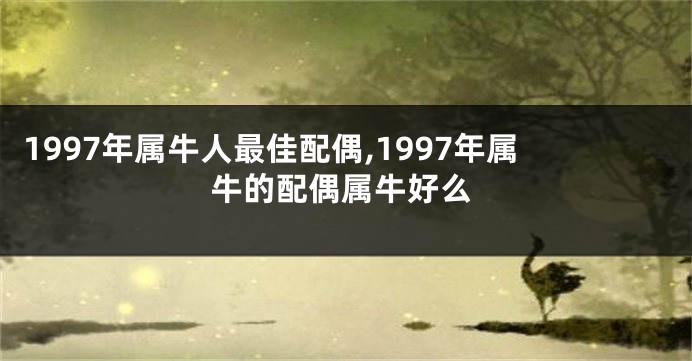 1997年属牛人最佳配偶,1997年属牛的配偶属牛好么