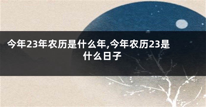 今年23年农历是什么年,今年农历23是什么日子