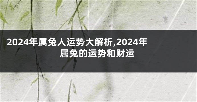 2024年属兔人运势大解析,2024年属兔的运势和财运