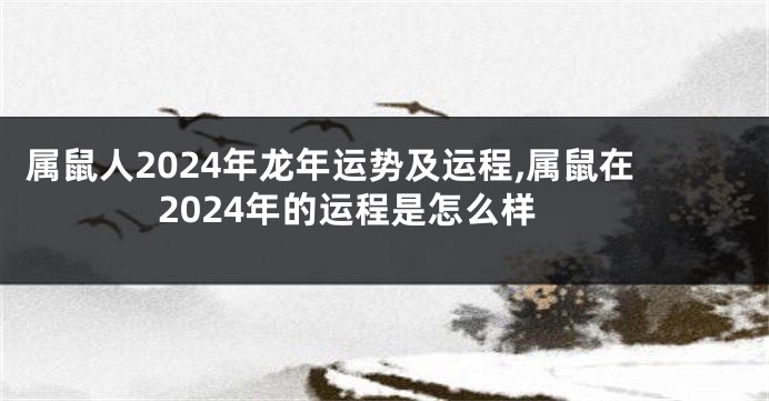 属鼠人2024年龙年运势及运程,属鼠在2024年的运程是怎么样