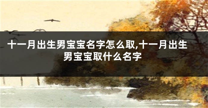 十一月出生男宝宝名字怎么取,十一月出生男宝宝取什么名字