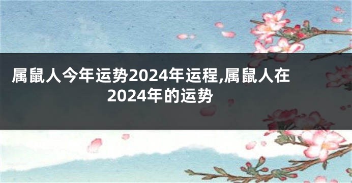 属鼠人今年运势2024年运程,属鼠人在2024年的运势