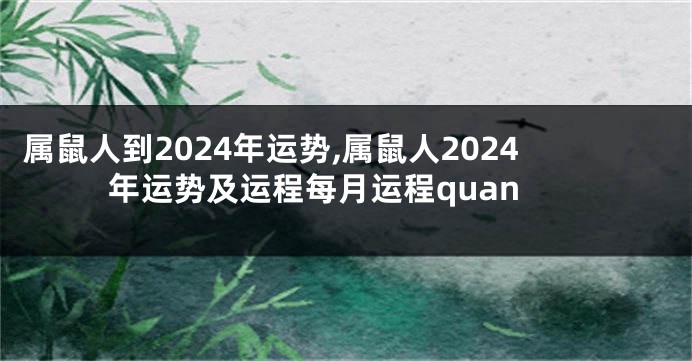 属鼠人到2024年运势,属鼠人2024年运势及运程每月运程quan