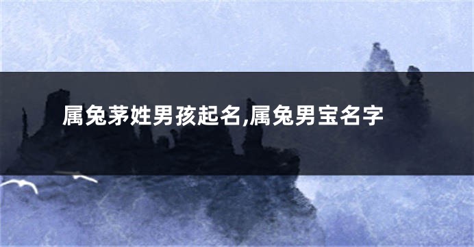 属兔茅姓男孩起名,属兔男宝名字
