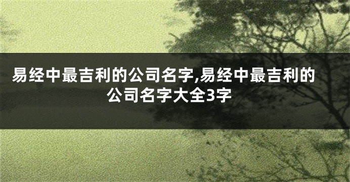 易经中最吉利的公司名字,易经中最吉利的公司名字大全3字