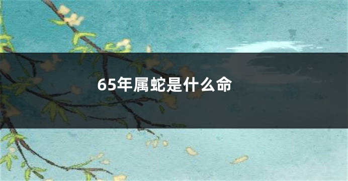 65年属蛇是什么命
