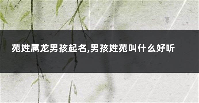 苑姓属龙男孩起名,男孩姓苑叫什么好听