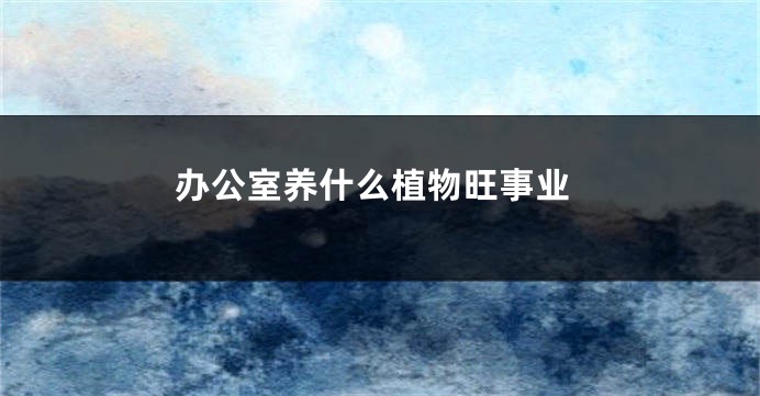 办公室养什么植物旺事业