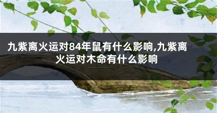 九紫离火运对84年鼠有什么影响,九紫离火运对木命有什么影响