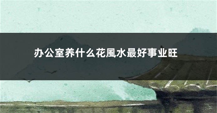 办公室养什么花風水最好事业旺