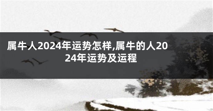 属牛人2024年运势怎样,属牛的人2024年运势及运程
