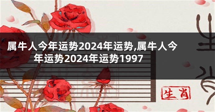 属牛人今年运势2024年运势,属牛人今年运势2024年运势1997