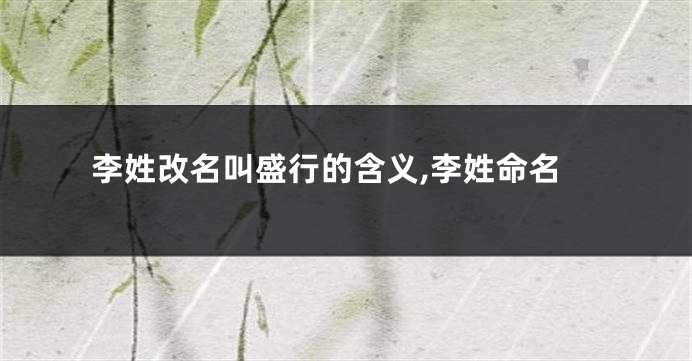 李姓改名叫盛行的含义,李姓命名