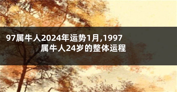 97属牛人2024年运势1月,1997属牛人24岁的整体运程