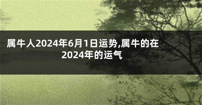 属牛人2024年6月1日运势,属牛的在2024年的运气