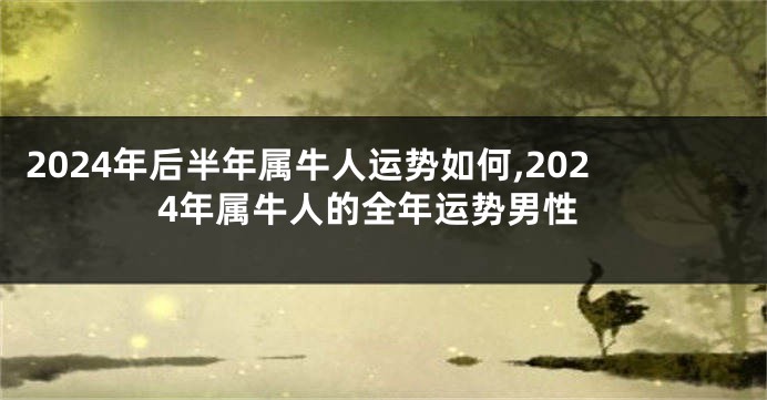 2024年后半年属牛人运势如何,2024年属牛人的全年运势男性