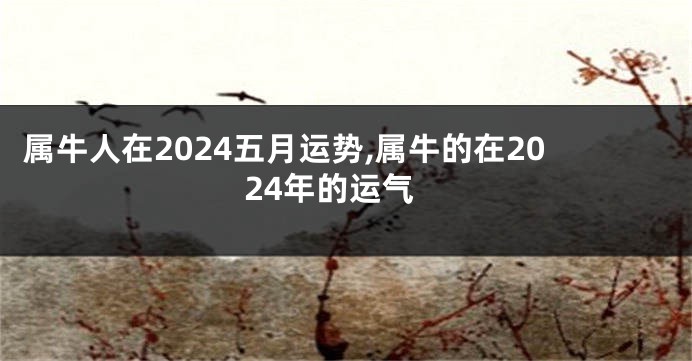 属牛人在2024五月运势,属牛的在2024年的运气