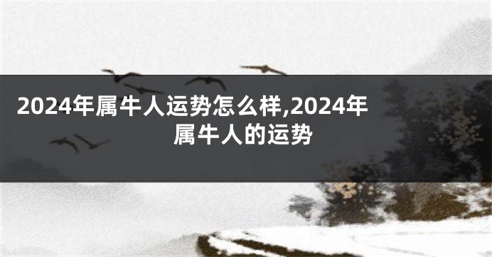2024年属牛人运势怎么样,2024年属牛人的运势