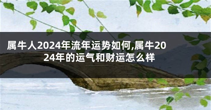 属牛人2024年流年运势如何,属牛2024年的运气和财运怎么样