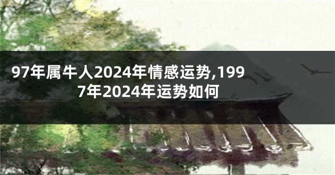 97年属牛人2024年情感运势,1997年2024年运势如何