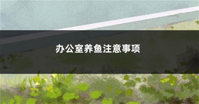 办公室养鱼注意事项